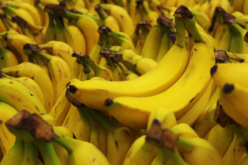 Bunch of Fresh Yellow Banana Fruits